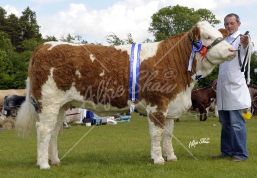 Ashland Susie owned by Pat Kelly